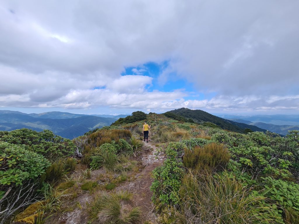 mt kapakapanui day hike