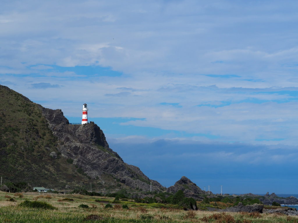 Cape Palliser