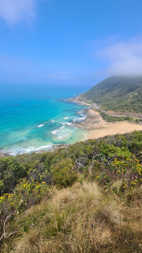 Teddy's Lookout Lorne