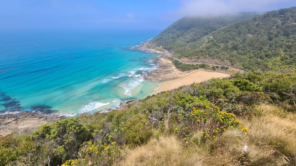 Lorne Teddy's Lookout