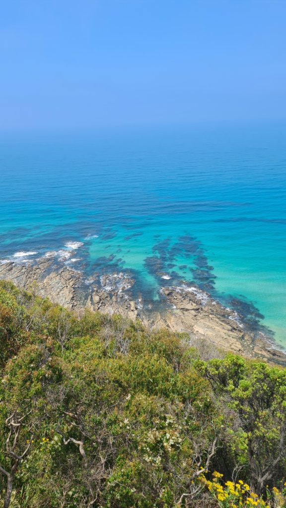 Teddy's Lookout Lorne