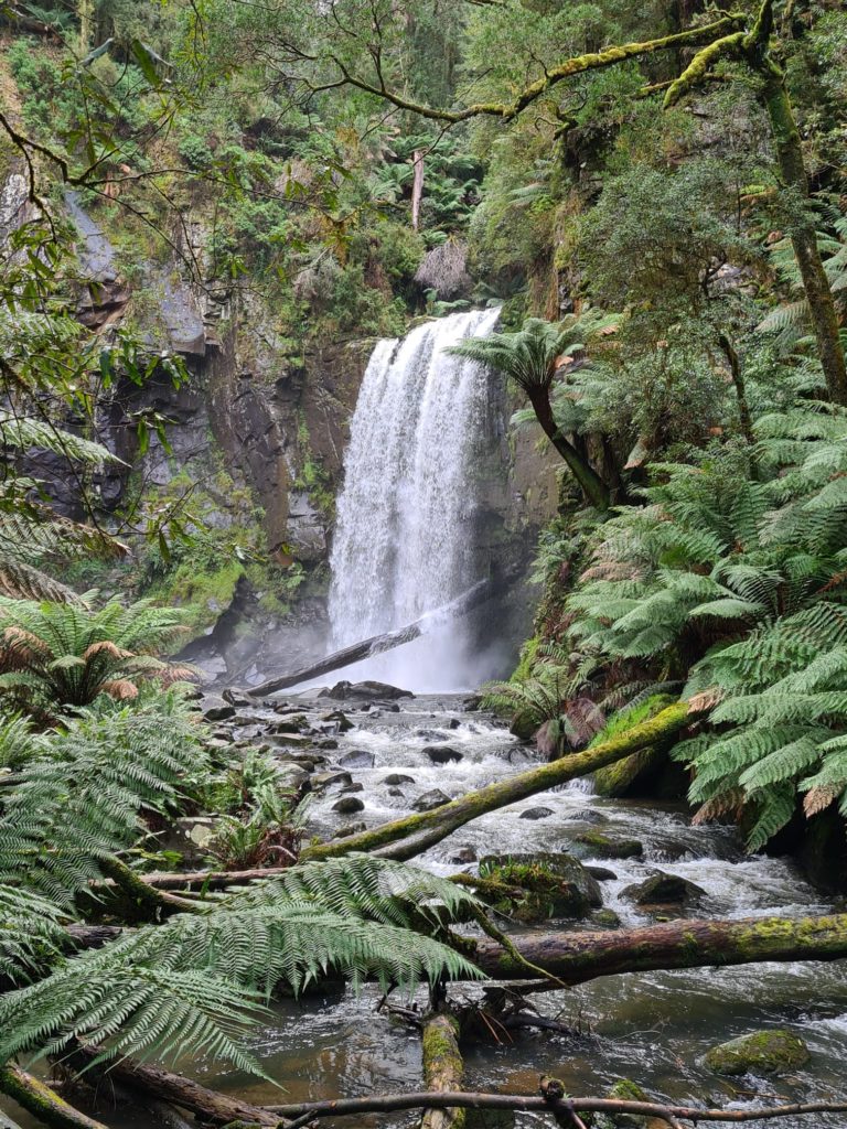 Triplet Falls Great Otway National Park