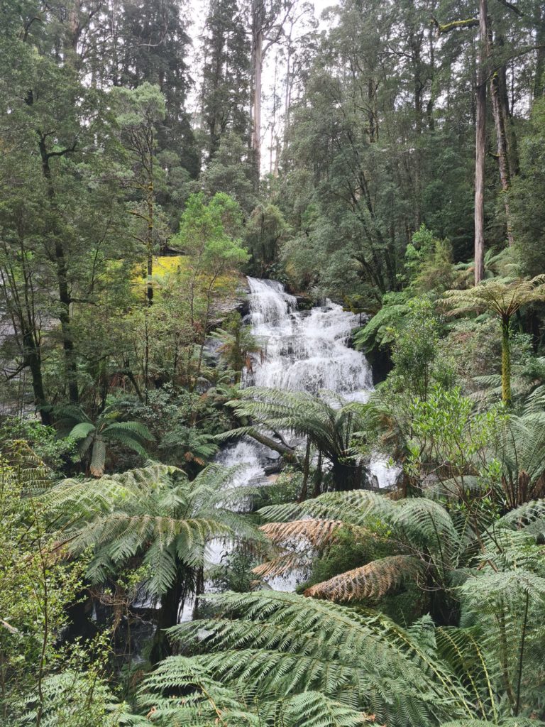 Hopetoun Falls Otway National Park