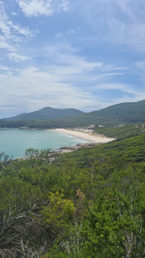 Squeaky Beach: A Serene Paradise with Crystal Clear Waters at Wilsons Promontory National Park